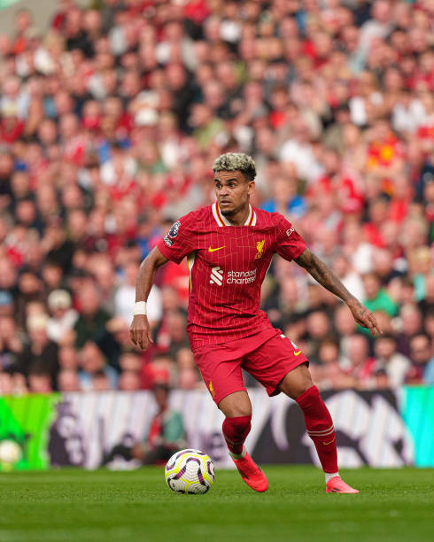 国际视野 国际视野